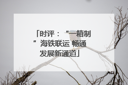 时评：“一箱制”海铁联运 畅通发展新通道