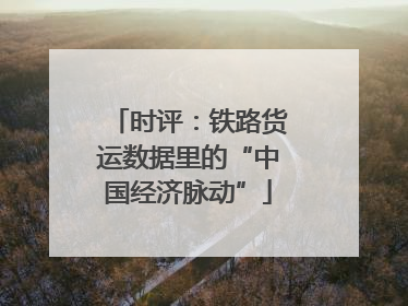 时评：铁路货运数据里的“中国经济脉动”