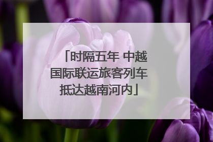 时隔五年 中越国际联运旅客列车抵达越南河内