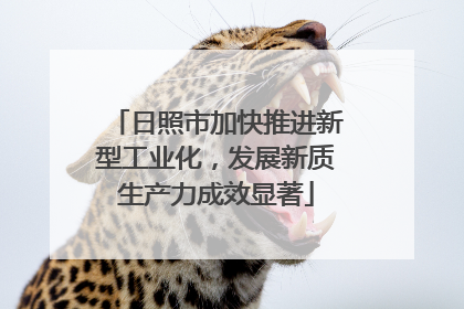 日照市加快推进新型工业化，发展新质生产力成效显著