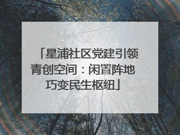 星浦社区党建引领青创空间：闲置阵地巧变民生枢纽