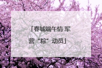 春城端午情 军营“粽”动员