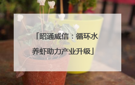昭通威信：循环水养虾助力产业升级
