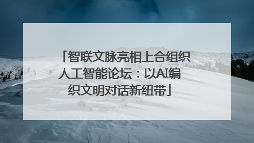 智联文脉亮相上合组织人工智能论坛：以AI编织文明对话新纽带