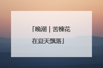 晚潮｜苦楝花在夏天飘落
