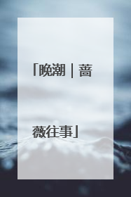 晚潮｜蔷薇往事