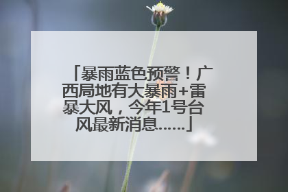 暴雨蓝色预警！广西局地有大暴雨+雷暴大风，今年1号台风最新消息……
