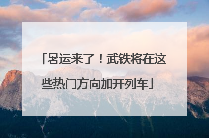 暑运来了！武铁将在这些热门方向加开列车