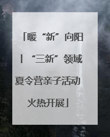 暖“新”向阳丨“三新”领域夏令营亲子活动火热开展