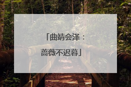 曲靖会泽：蔷薇不迟暮