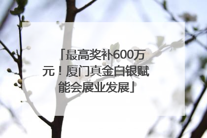 最高奖补600万元！厦门真金白银赋能会展业发展