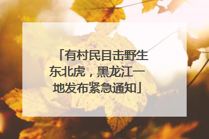 有村民目击野生东北虎，黑龙江一地发布紧急通知