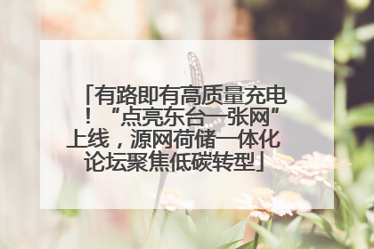 有路即有高质量充电！“点亮东台一张网”上线，源网荷储一体化论坛聚焦低碳转型