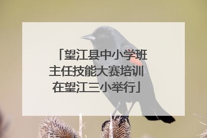 望江县中小学班主任技能大赛培训在望江三小举行