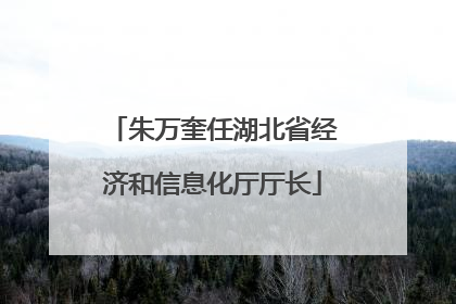 朱万奎任湖北省经济和信息化厅厅长