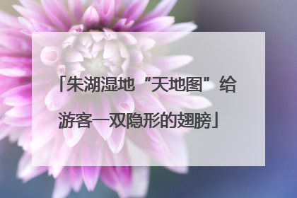 朱湖湿地“天地图”给游客一双隐形的翅膀