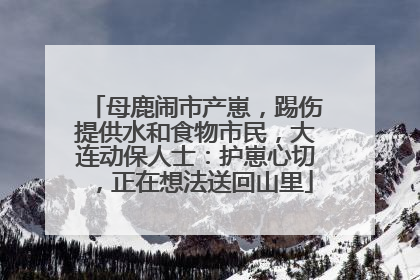母鹿闹市产崽，踢伤提供水和食物市民，大连动保人士：护崽心切，正在想法送回山里