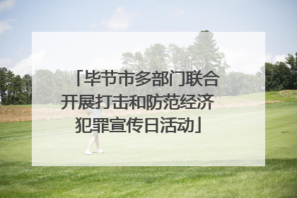 毕节市多部门联合开展打击和防范经济犯罪宣传日活动