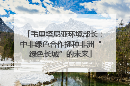 毛里塔尼亚环境部长：中非绿色合作播种非洲“绿色长城”的未来