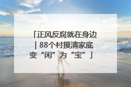 正风反腐就在身边｜88个村摸清家底变“闲”为“宝”