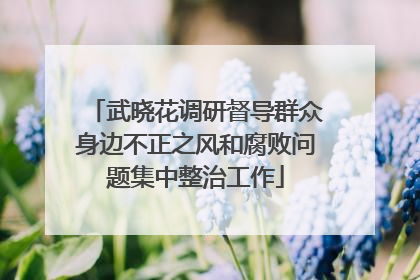 武晓花调研督导群众身边不正之风和腐败问题集中整治工作
