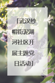 武汉纱帽街泥湖河社区开展主题党日活动