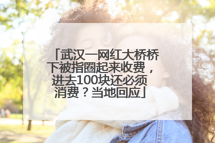 武汉一网红大桥桥下被指圈起来收费，进去100块还必须消费？当地回应