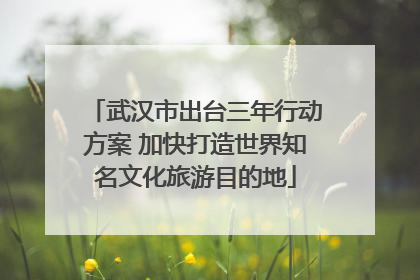 武汉市出台三年行动方案 加快打造世界知名文化旅游目的地