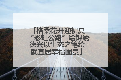 格桑花开迎初夏 “彩虹公路”绘锦绣 德兴以生态之笔绘就宜居幸福图景