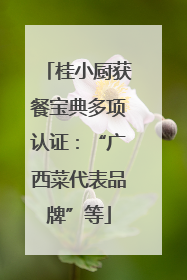 桂小厨获餐宝典多项认证：“广西菜代表品牌”等