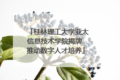 桂林理工大学亚太信息技术学院揭牌 推动数字人才培养