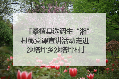 桑植县选调生“湘”村微党课宣讲活动走进沙塔坪乡沙塔坪村