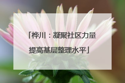 桦川：凝聚社区力量 提高基层整理水平