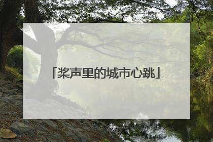 桨声里的城市心跳