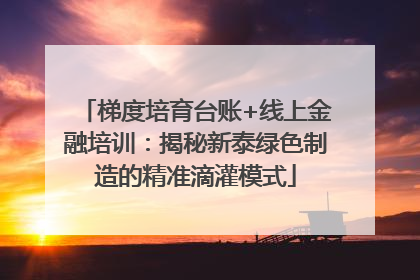 梯度培育台账+线上金融培训：揭秘新泰绿色制造的精准滴灌模式