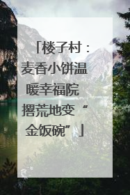 楼子村：麦香小饼温暖幸福院 撂荒地变“金饭碗”