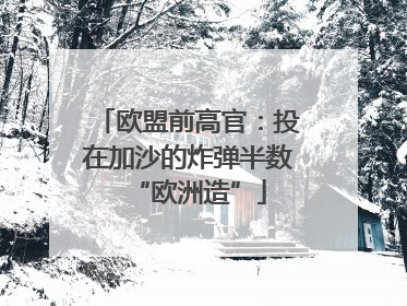 欧盟前高官：投在加沙的炸弹半数“欧洲造”