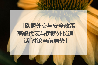 欧盟外交与安全政策高级代表与伊朗外长通话 讨论当前局势