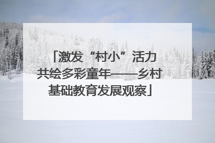 激发“村小”活力 共绘多彩童年——乡村基础教育发展观察