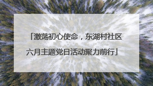 激荡初心使命，东湖村社区六月主题党日活动聚力前行