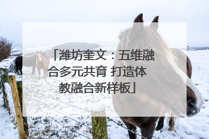 潍坊奎文：五维融合多元共育 打造体教融合新样板