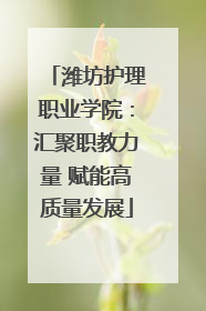 潍坊护理职业学院：汇聚职教力量 赋能高质量发展