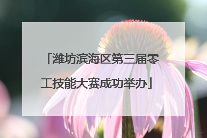 潍坊滨海区第三届零工技能大赛成功举办