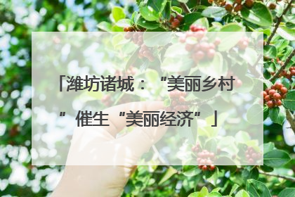 潍坊诸城：“美丽乡村”催生“美丽经济”
