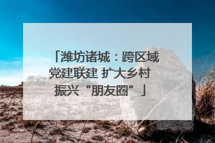 潍坊诸城：跨区域党建联建 扩大乡村振兴“朋友圈”