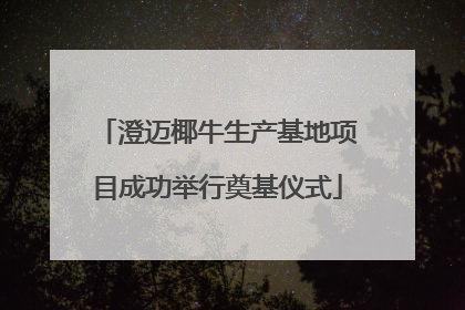 澄迈椰牛生产基地项目成功举行奠基仪式