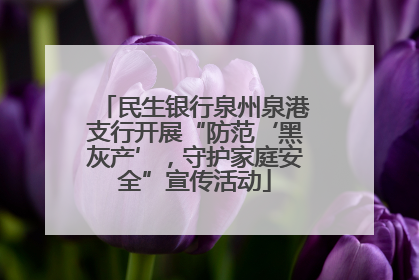 民生银行泉州泉港支行开展“防范‘黑灰产’，守护家庭安全”宣传活动