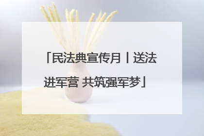 民法典宣传月丨送法进军营 共筑强军梦
