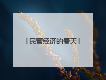 民营经济的春天