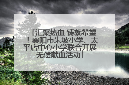 汇聚热血 铸就希望！襄阳市朱坡小学、太平店中心小学联合开展无偿献血活动